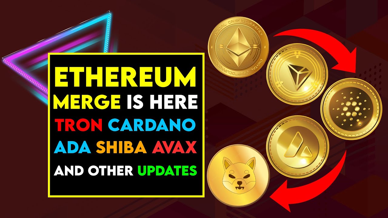 Investing the Deep Dive in Crypto