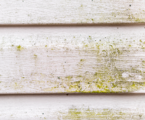 Presssure Washing Fort Mill dirty to clean